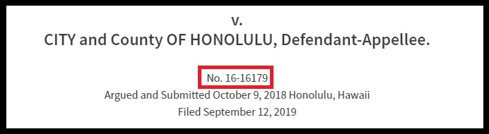 Where to find the docket number in a court opinion.